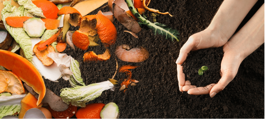 The Perfect Compost