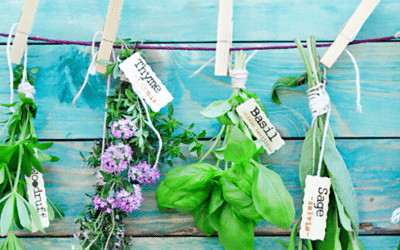 Herbs. They’re not just for eating