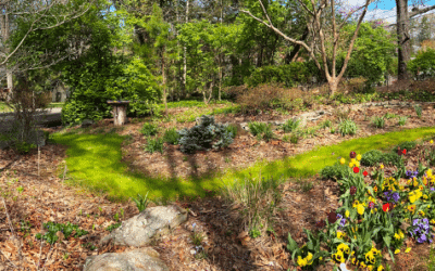 Gardening Beyond the Property Line